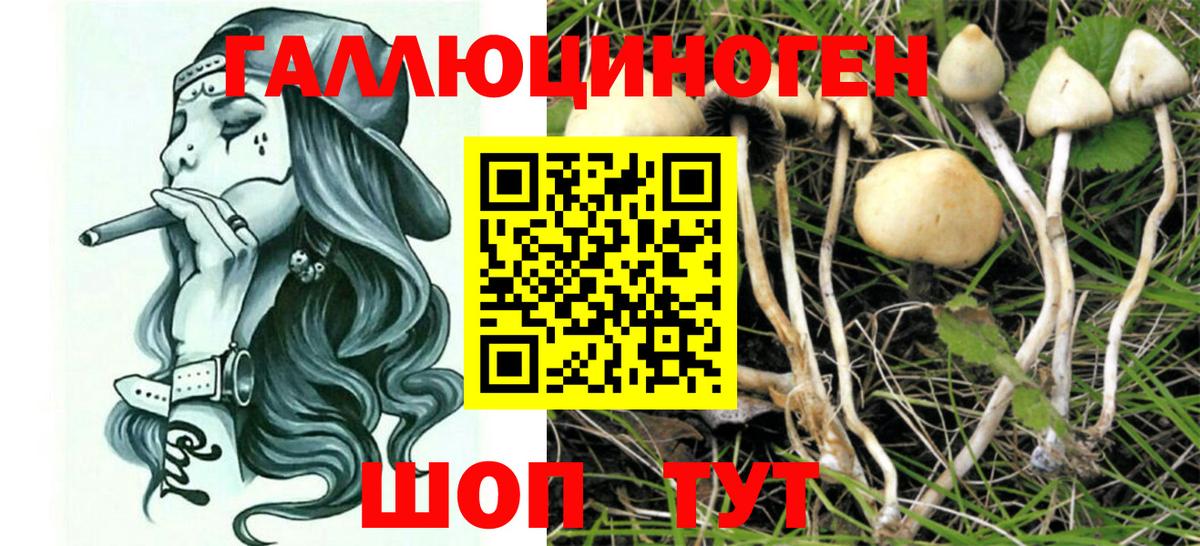 Галлюциногенные грибы Psilocybine cubensis  Псилоцибиновые грибы Magic Shrooms  Сунжа  Вход с VPN 